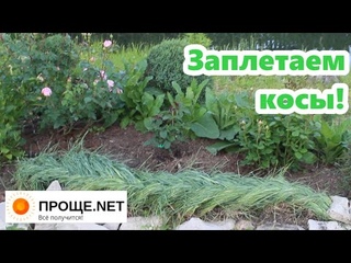 Идея! Оригинальный бордюр для роз - косичка из злаков.🌾🌾🌾