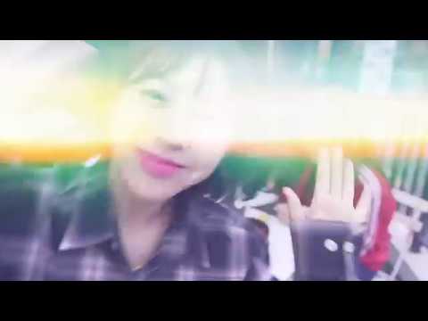 옐로비 ( Yellow Bee) DVD ( Difference Versus