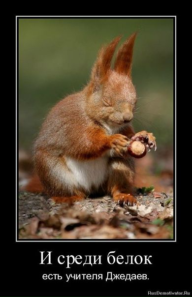 №95, Анна Кривицкая, Санкт-Петербург №95, Анна Кривицкая, Санкт-Петербург