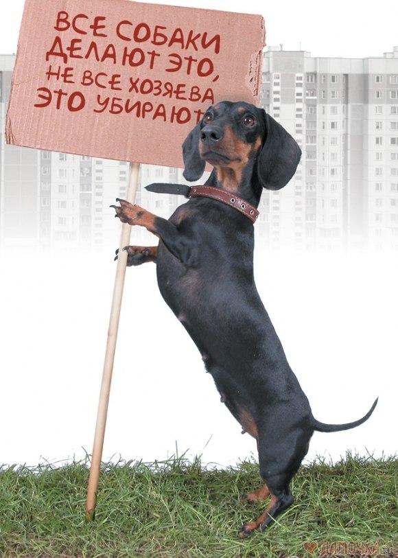 Павел Карнюшкин | Москва