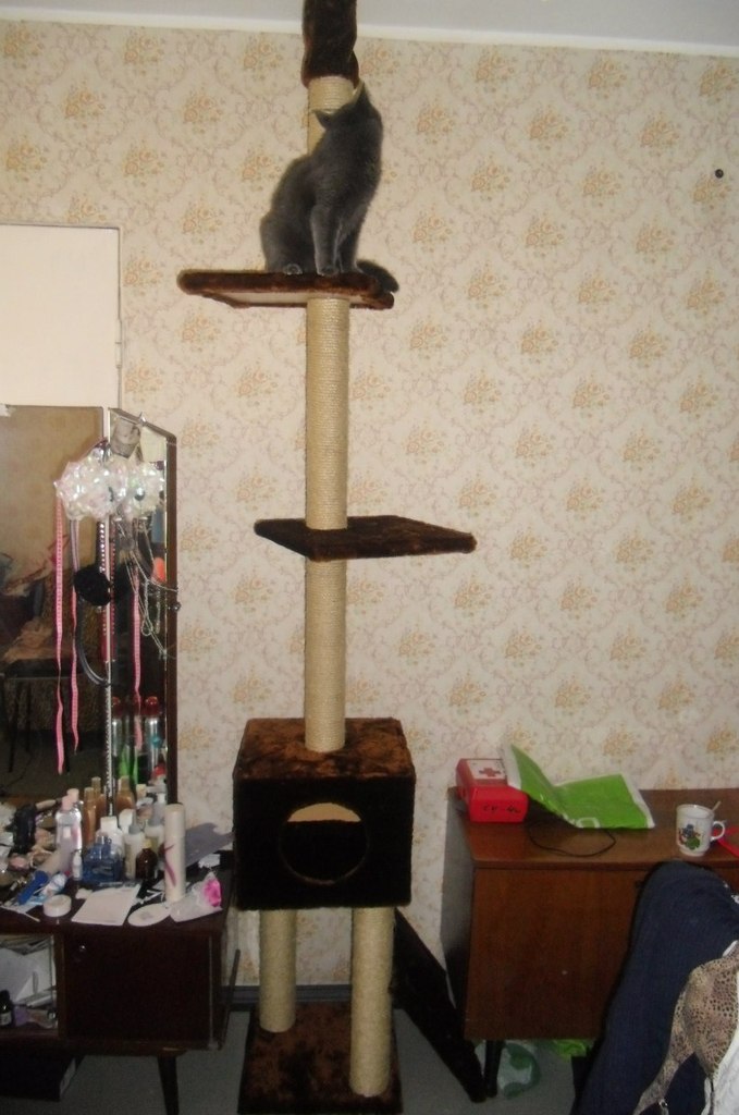 Света Касаткина | Лесной