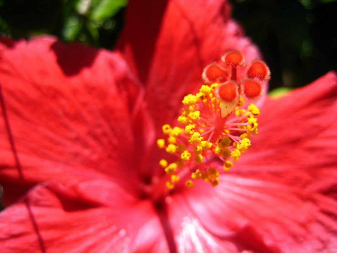 Tatiana Bobyleva | Санкт-Петербург