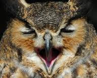 Денис Болдин | Москва