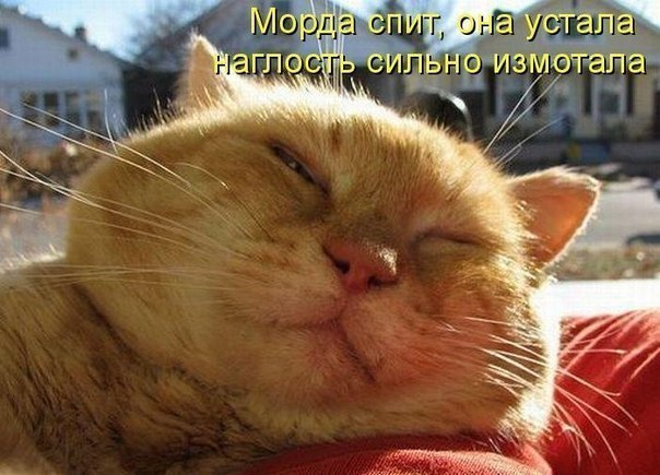 Ирина Селезнёва | Санкт-Петербург