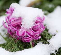 Марина Шалатонова | Архангельск