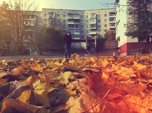 Олесь Відович Z●●lini | Flora