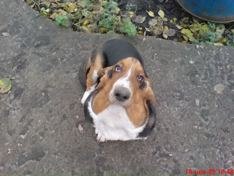 Владислав Федорук | 