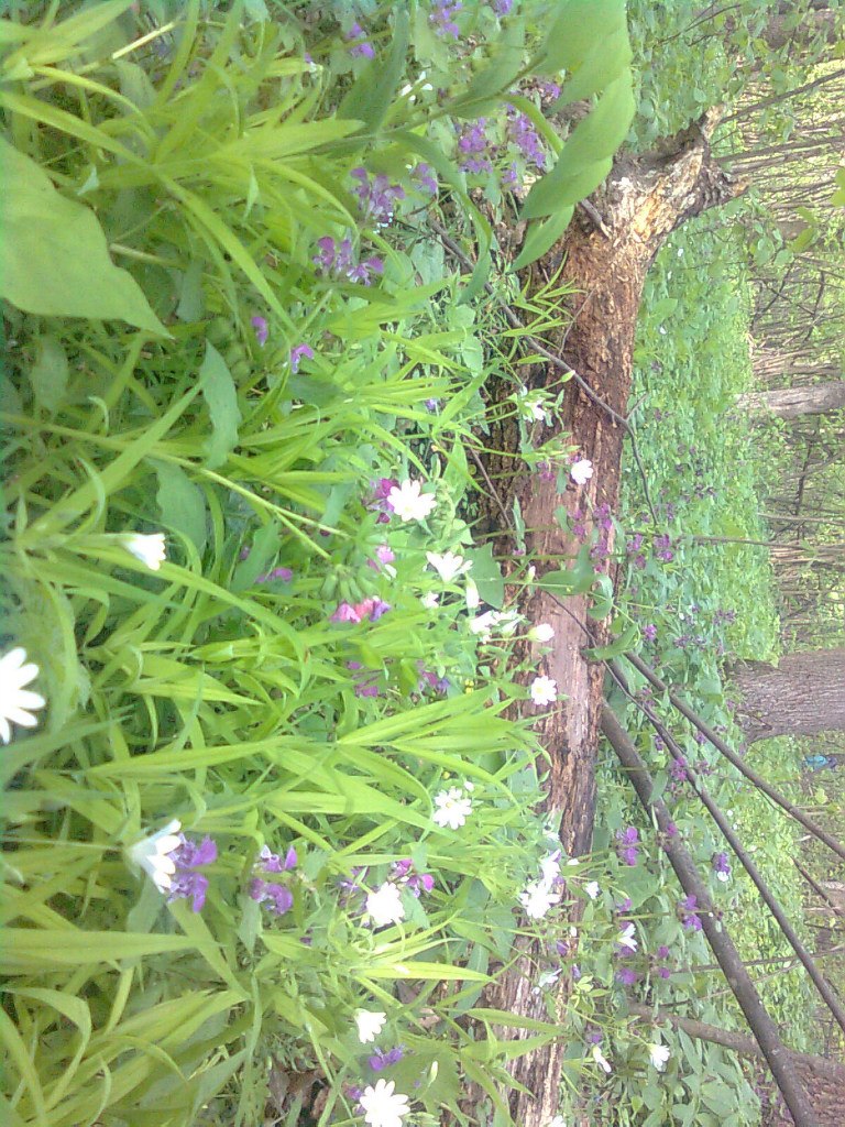 Александр Катрич | Харьков