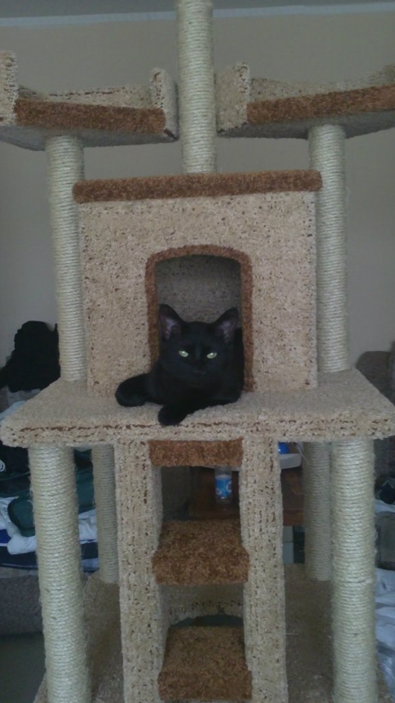 Наталья Пальмина | Санкт-Петербург