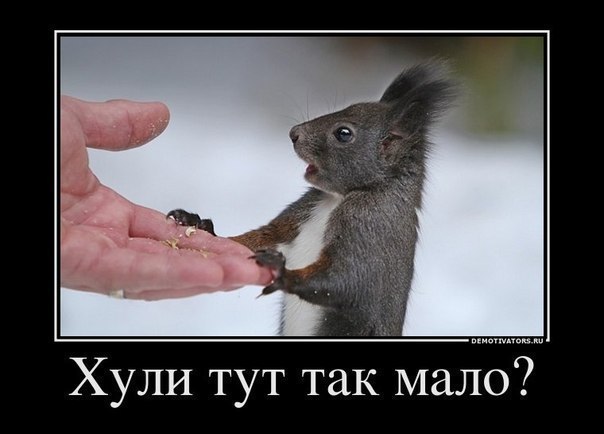 Виктор Давыдчик | Одесса