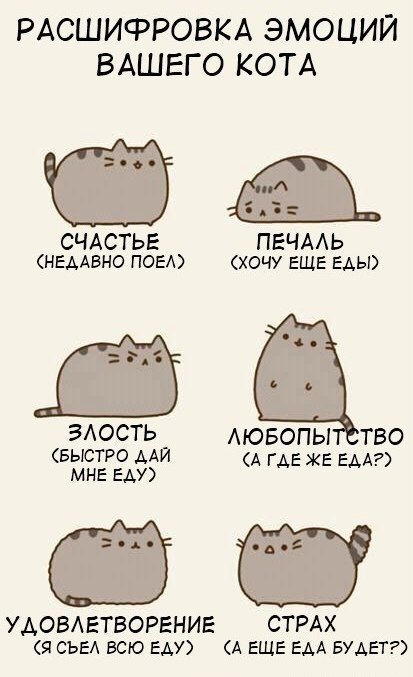 Максим Наку | Кишинев