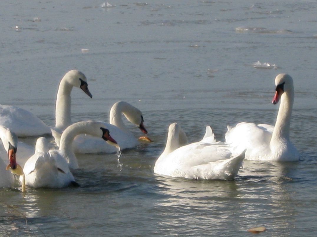 Руслан Монтий | Херсон