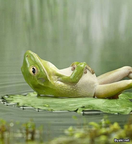 Лилия Вайсман | Москва