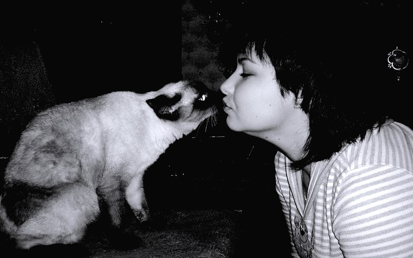 Наталья Вишнякова | Днепр (Днепропетровск)