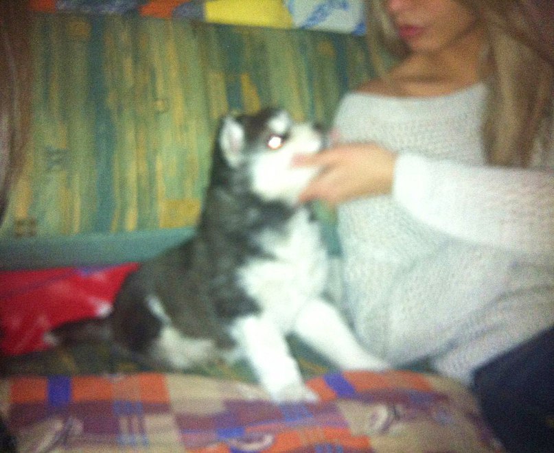 Наталья Кузнецова | Красноярск