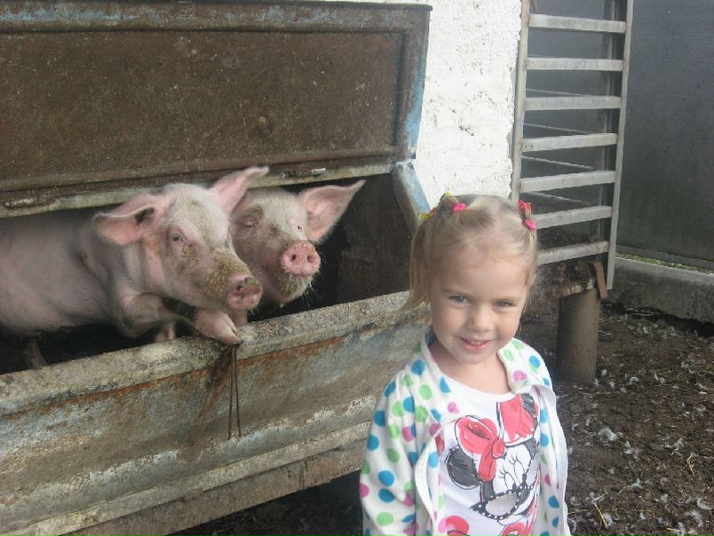 №55, Яна Никитина, Нарва №55, Яна Никитина, Нарва