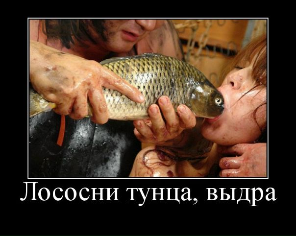 №84, Вася Терентьев №84, Вася Терентьев