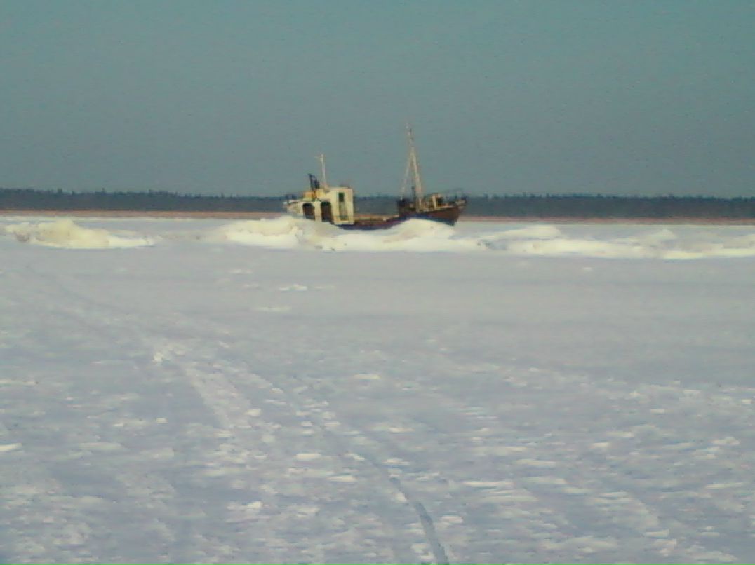 Владимир Мамаев | Ильинский