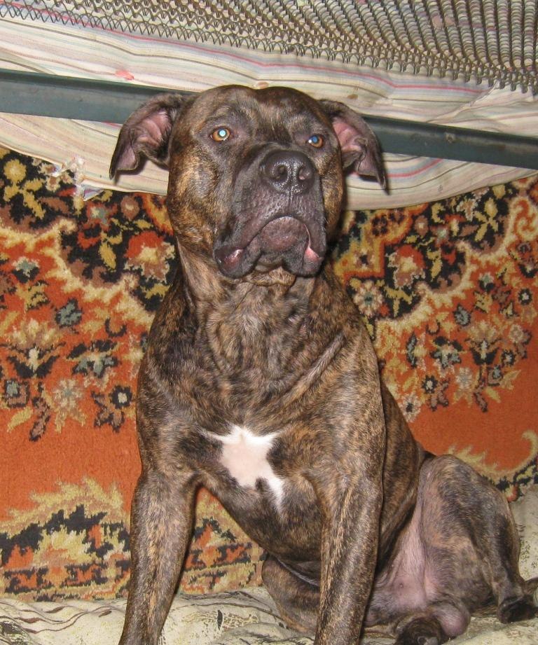 Игорь Самсонов | Александрия