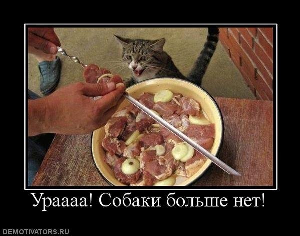 №1, Анатолий Шалаев, 43 года, Санкт-Петербург №1, Анатолий Шалаев, 43 года, Санкт-Петербург