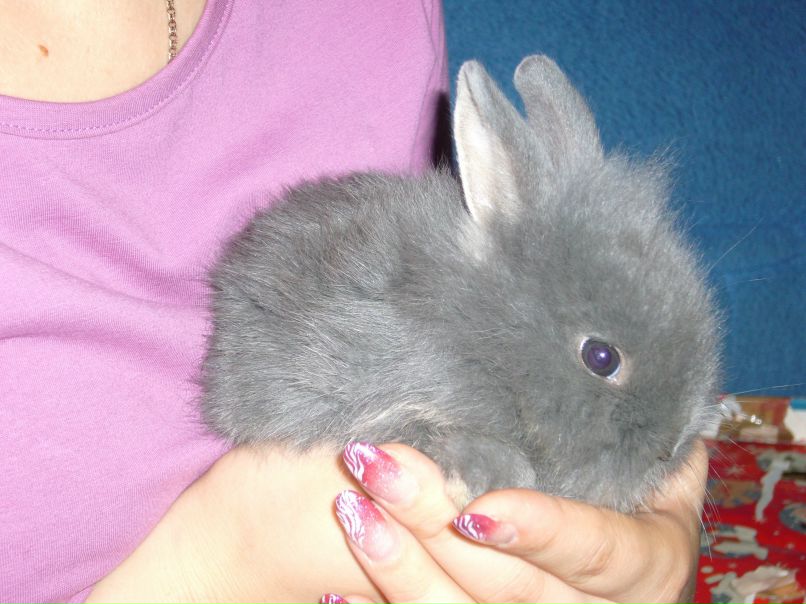 Ксения Амелина | Тула