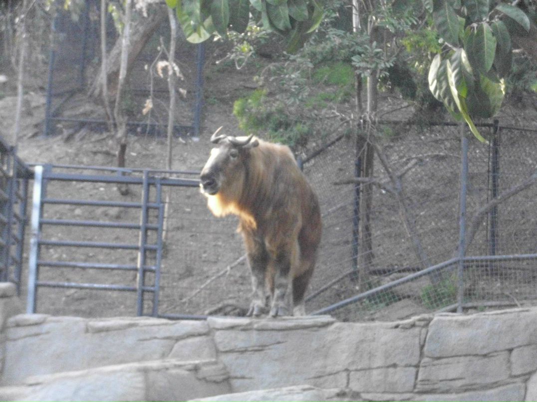 Alexandr Oseev | Magdeburg