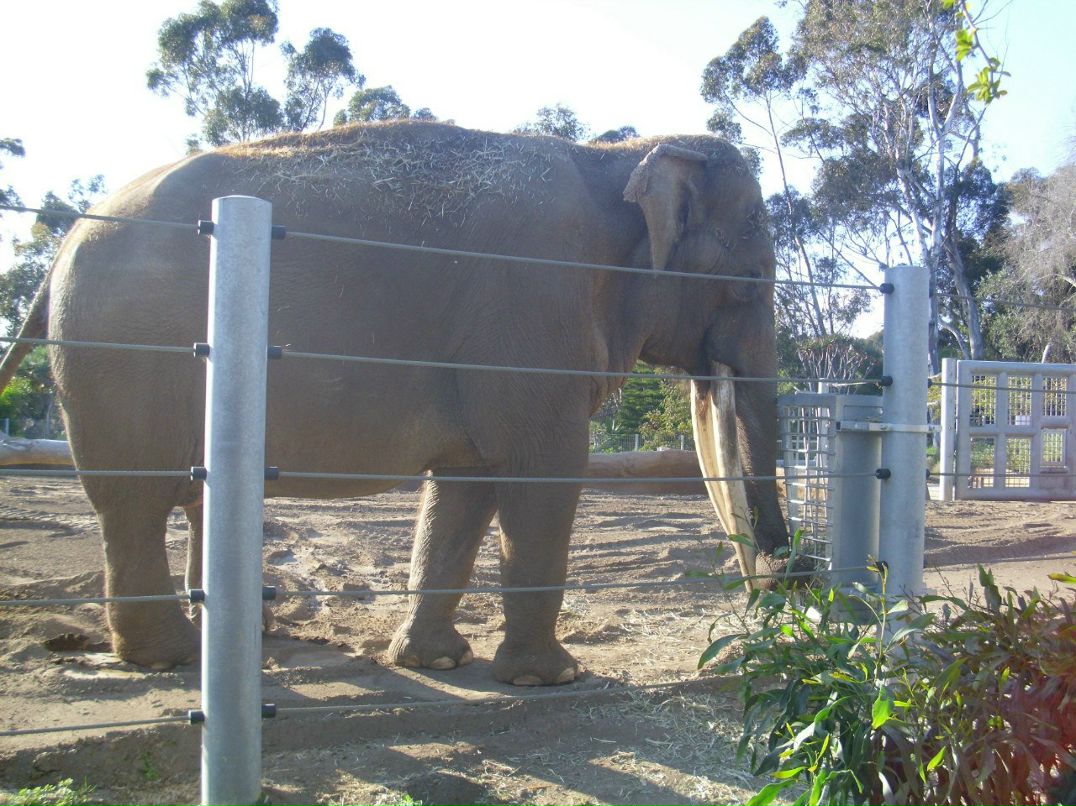 Alexandr Oseev | Magdeburg