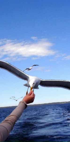 №50, Катерина Яковлева, Санкт-Петербург №50, Катерина Яковлева, Санкт-Петербург