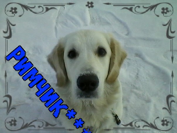 №117, Рим Усенко, Ачинск №117, Рим Усенко, Ачинск