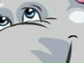 Дмитрий Максименко Александр | Одесса