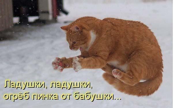 №124, Антон Ростовский, 31 год, Анапа №124, Антон Ростовский, 31 год, Анапа