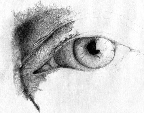 Константин Богачёв | Москва