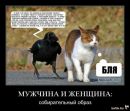№41 Ольга Вербина 13.04: профиль, фото, статус - ВКонтакте