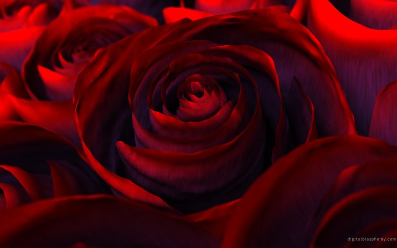 Лиля Азизова | Львов