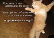 Фотография Михаил Исаев