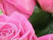 Анжелика Ковальчук | Ковель