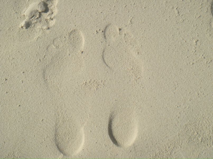 Наталья Служенко | İstanbul