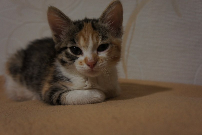 Лена Моргунова ★★★♥♥٩(●̮̮̃●̃)۶♥♥★★★ | Якутск