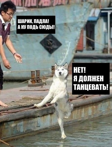 Олега Андросов Sabbahus | 