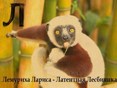 Владислав Штерн | Санкт-Петербург