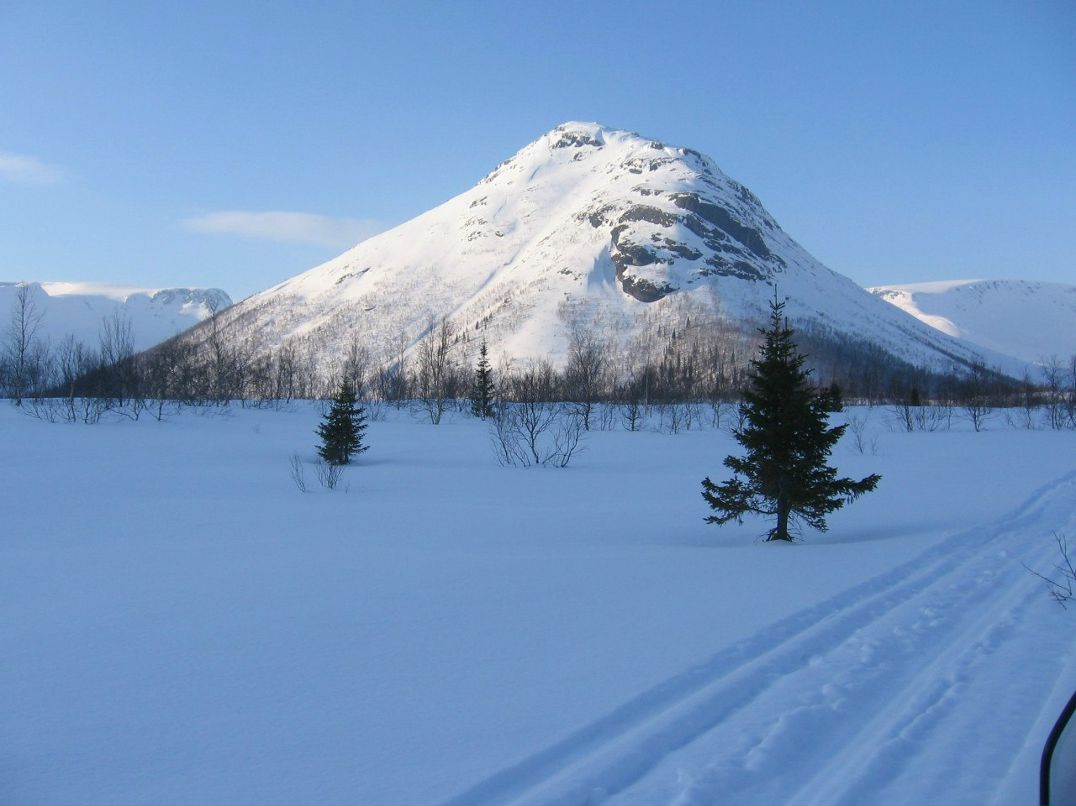 Демьян Лесик | Санкт-Петербург