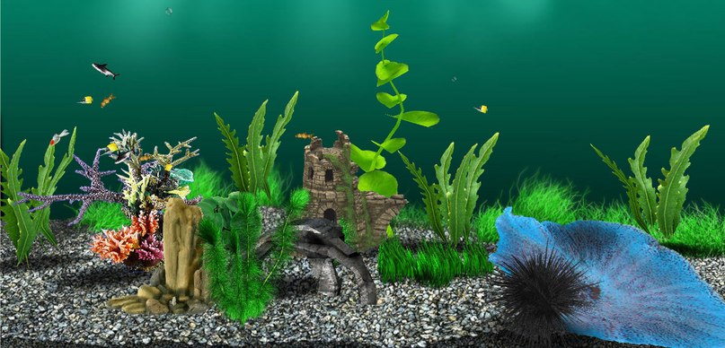 Анастасия Овчаренко | Запорожье