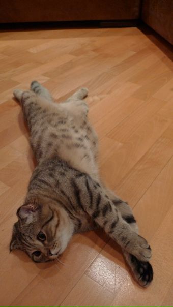 №101, Алена Кудряшова, Москва №101, Алена Кудряшова, Москва