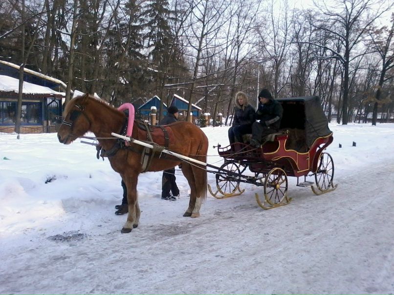 Сергей Комлев | Киев