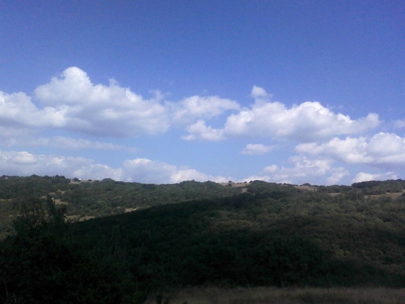 Ирина Малина | Дмитров