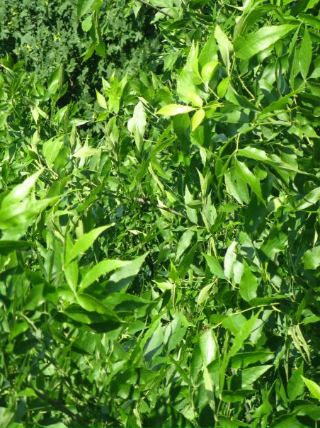 №55, Катя Любимова, 40 лет, Москва №55, Катя Любимова, 40 лет, Москва