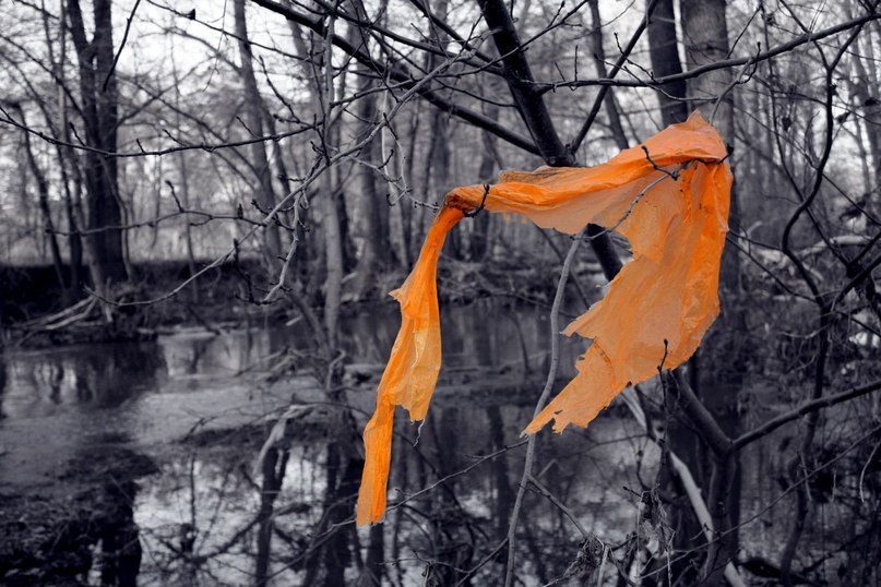 Роман Васильев (Табурет) | Медногорск