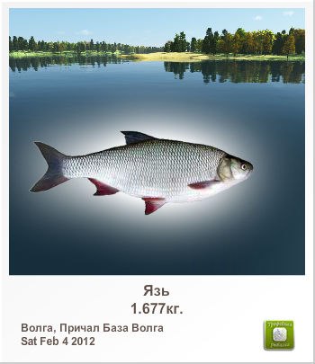 Александр Марченко | Витебск