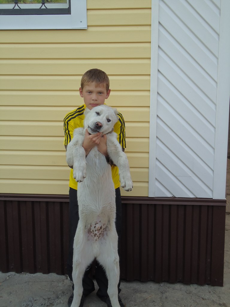 Дмитрий Реуцкий | Бийск