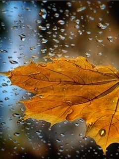 №128, Рома Иванов, Москва №128, Рома Иванов, Москва